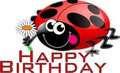 Happy Birthday Ladybug!