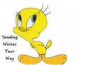 Happy Birthday Tweety!