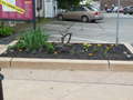 Re: Pocket  Gardens Main Street