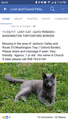 Re: Found Gray Cat - Hastings Square